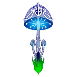 Trippy Crop Top Design